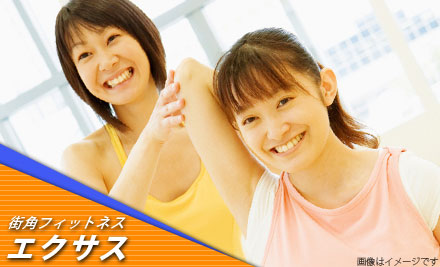 ���ѥե��åȥͥ� ��������