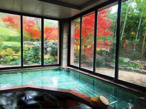 ��ͺ�������꡼�ۥƥ�