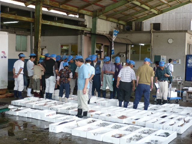 ��ʡ������