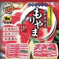 ��������Ź�������