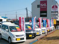 ��������ư��