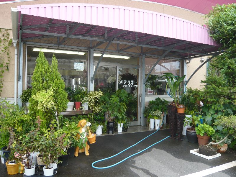 ���ꥹ�ե����饵���ӥ�