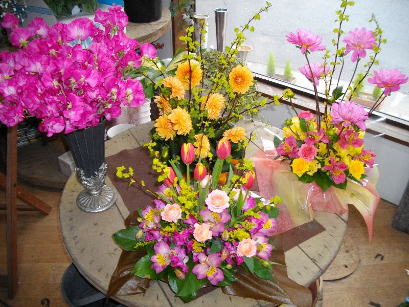 Flower��Shop����������