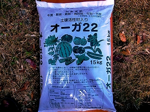 ������ƥå������