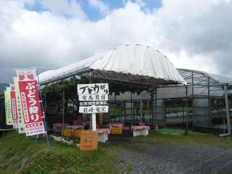 ͭ���ҹ�����