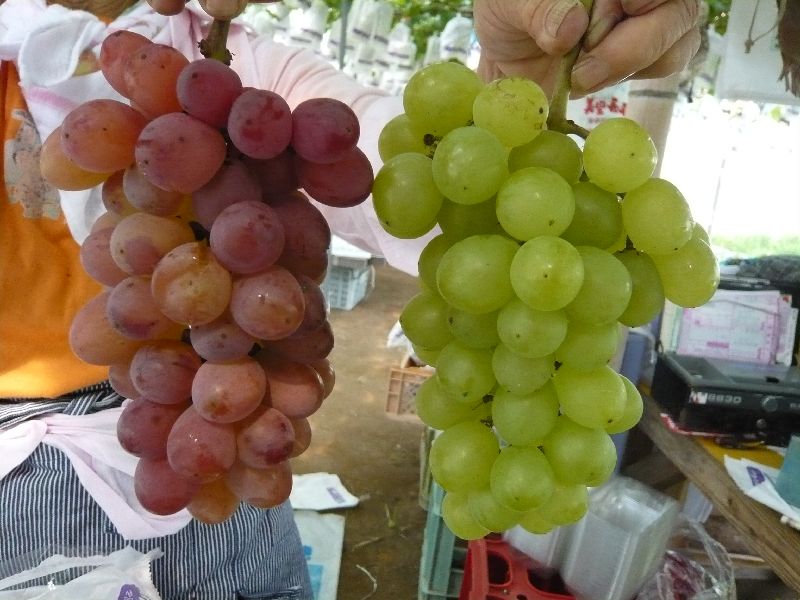 �����ҴѸ�����