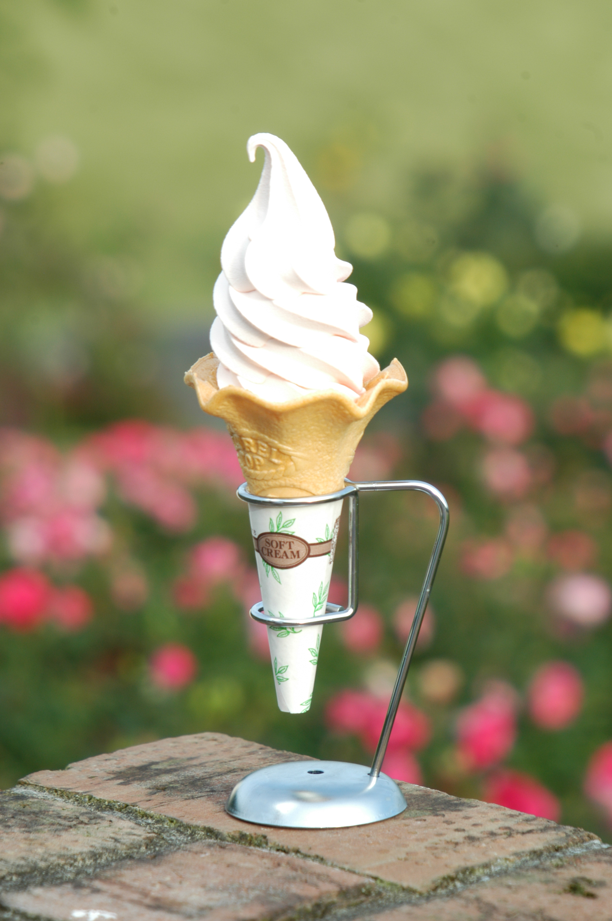 �����������ʡ�