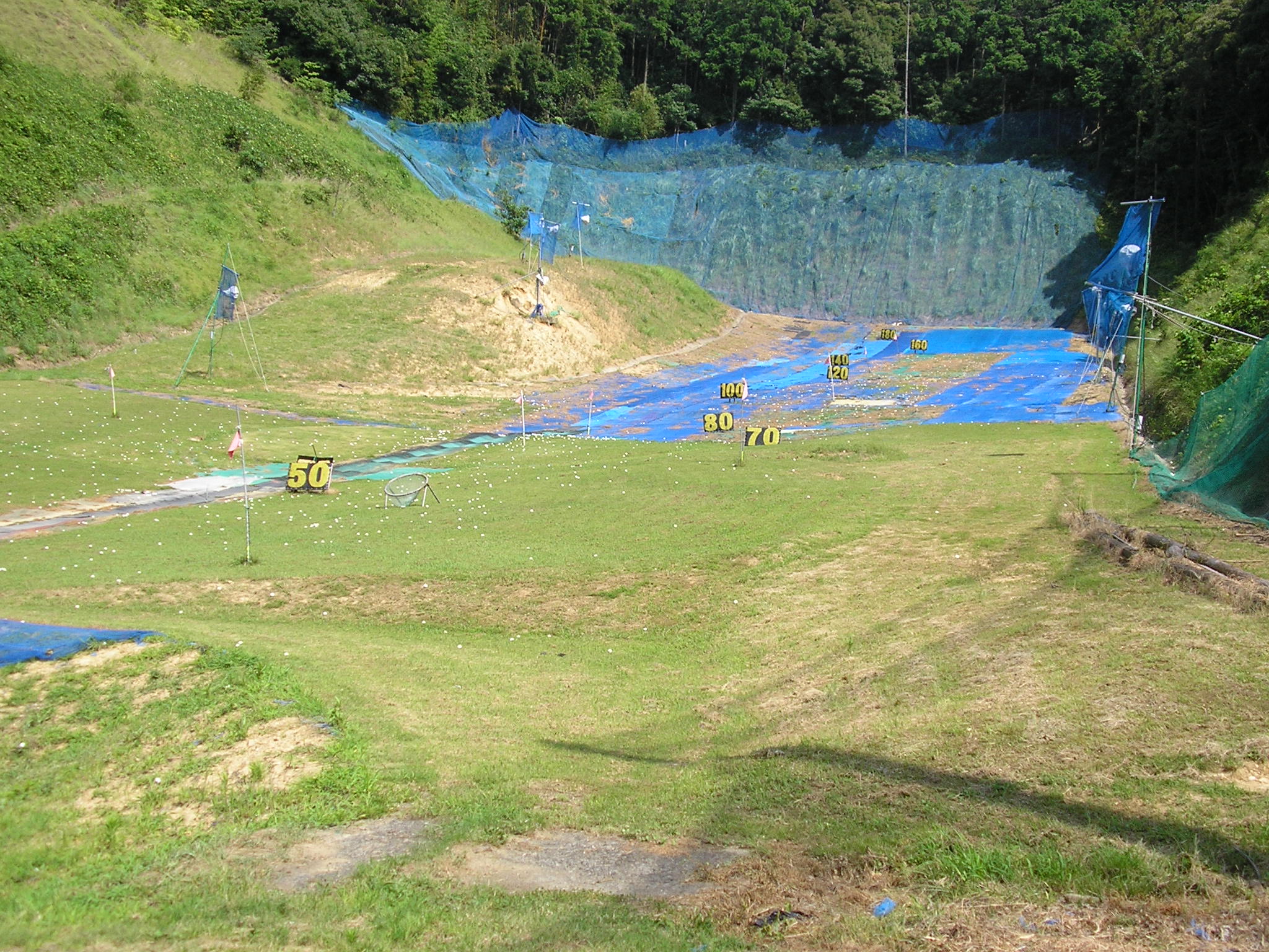 ���꡼�󥴥��������