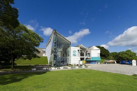 �彽�����²�ۡ��������