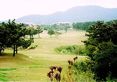 �縶����ȥ꡼�����